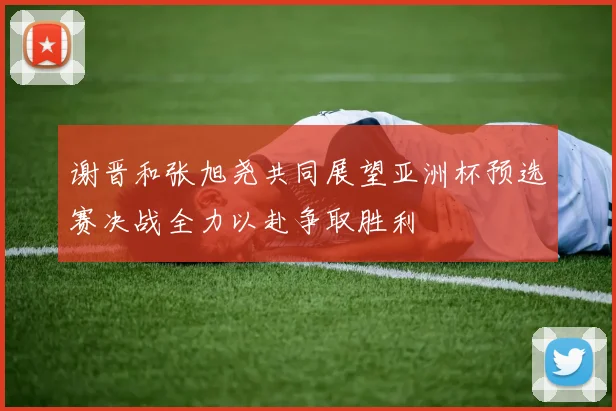谢晋和张旭尧共同展望亚洲杯预选赛决战全力以赴争取胜利