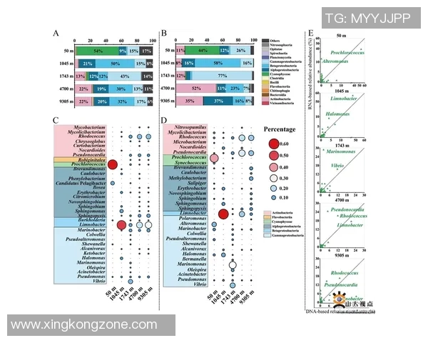 海史密斯缺席八周但更衣室领导力成留队关键因素