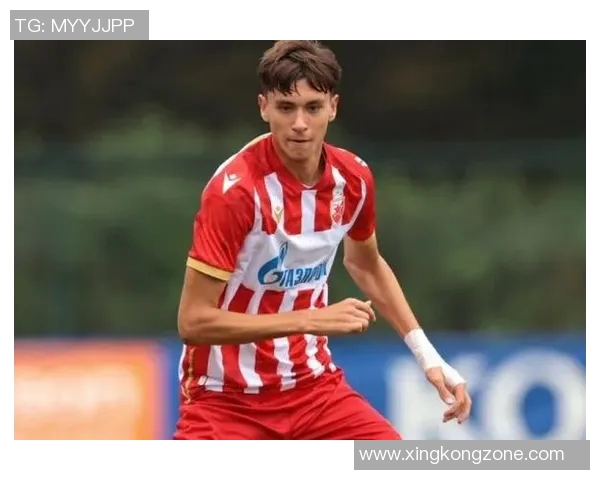 德甲俱乐部对红星16岁前锋达姆贾诺维奇表现出浓厚兴趣